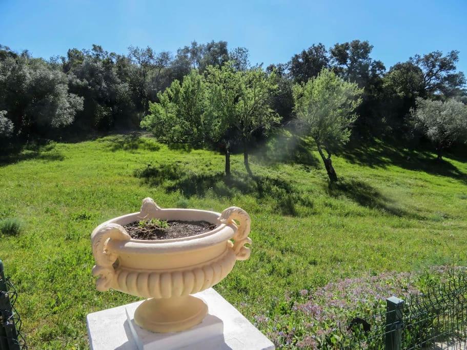 Luxury Holiday Escape In The Countryside Tavira Buitenkant foto